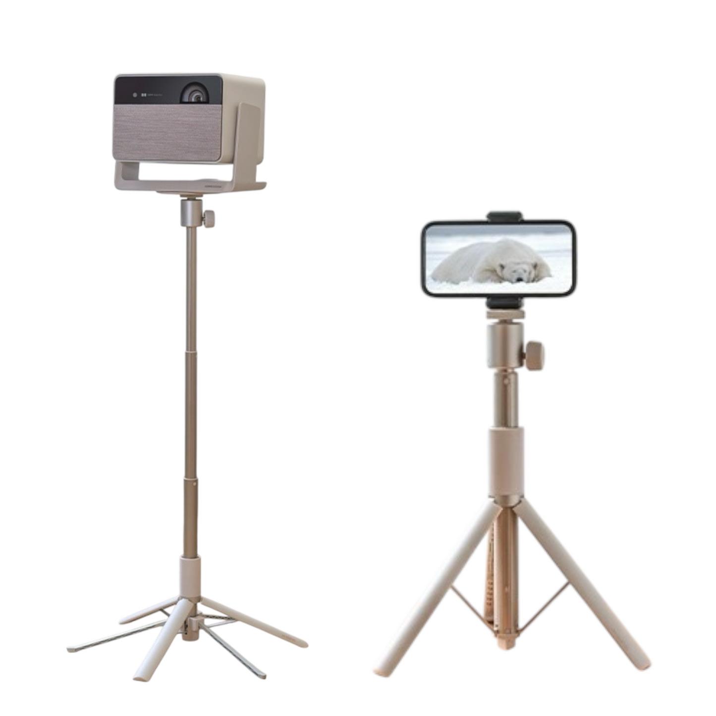 Ecran de projection Portable avec trépied Rétractable Xgimi